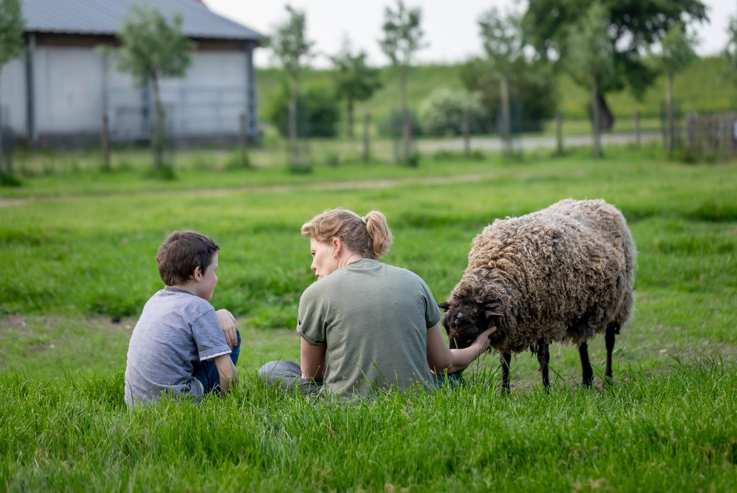 cropped-IJsselhoeve-logeerweekend-mei-2019-5207-.jpg