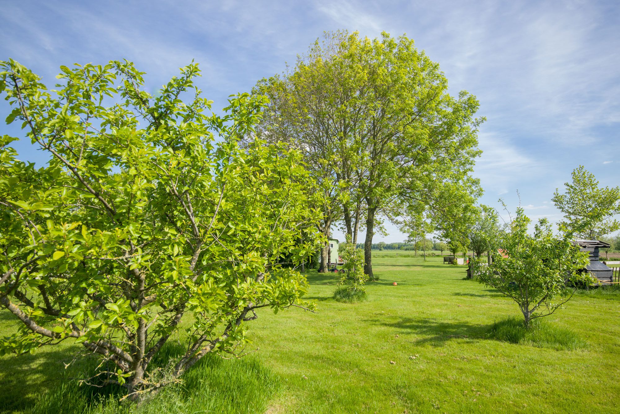 cropped-IJsselhoeve-terrein-mei-2019-0007992-1.jpg
