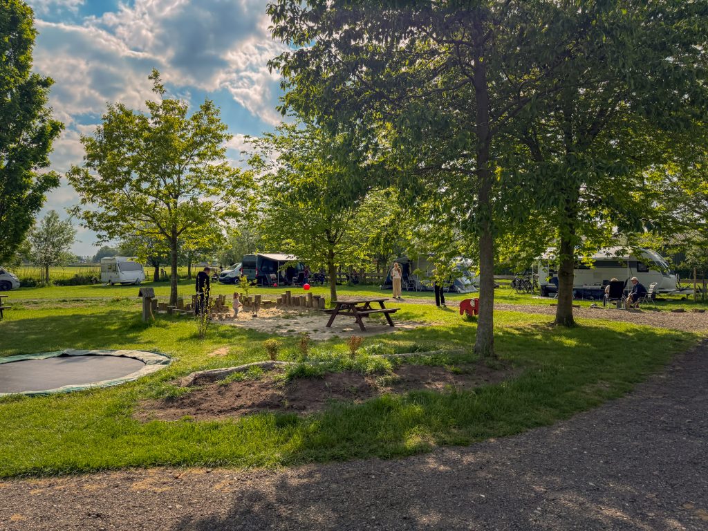 Kampeerveld met bomen en een wandelpad