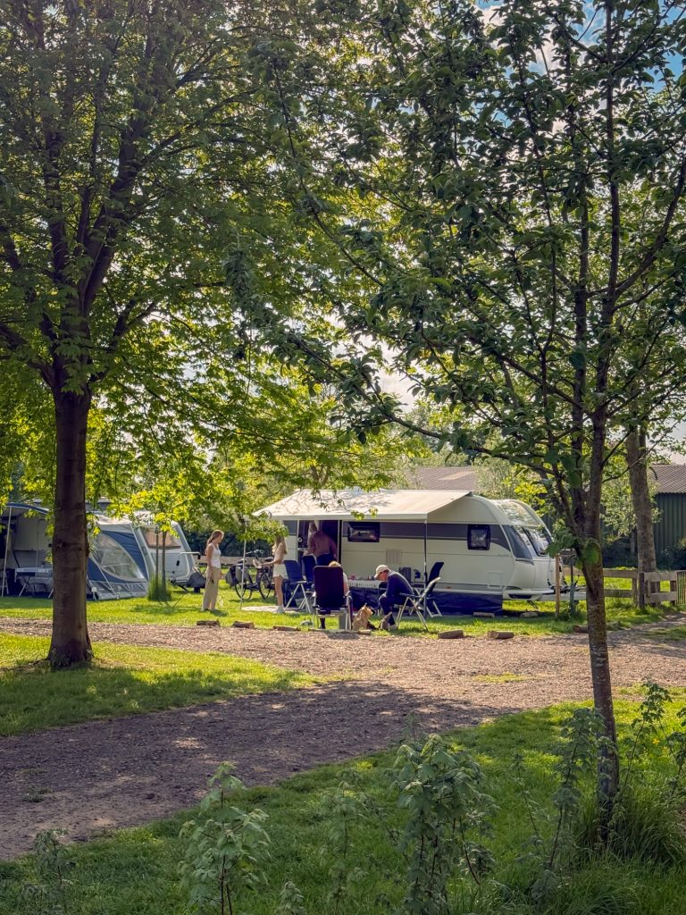 Een groene plek op het kampeerveld